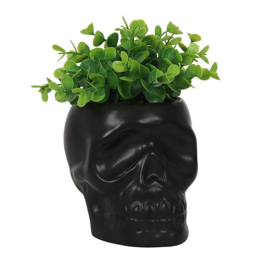 BLACK SKULL PLANT POT