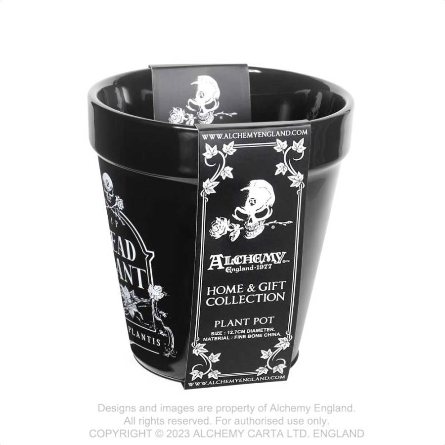 DEAD PLANT PLANT POT (GPP7)