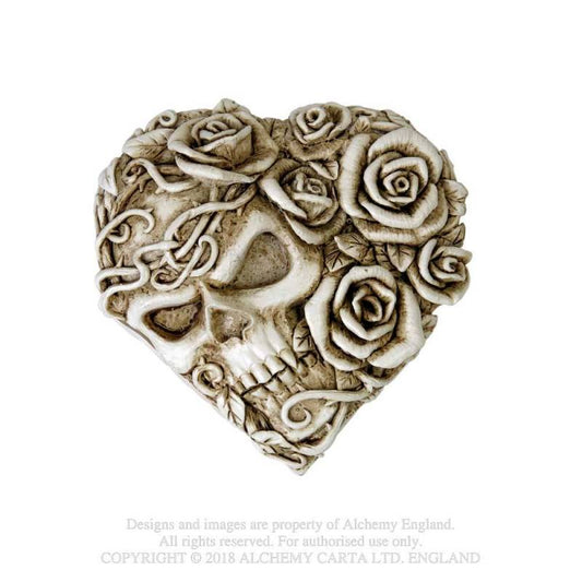 GHOST OF NARCISSUS (V39) Compact Mirror