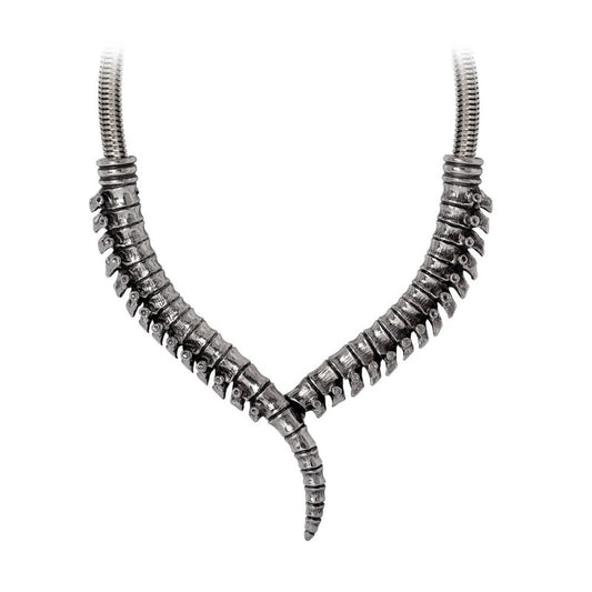 Thoracic Collar (P1007) Necklace from Alchemy