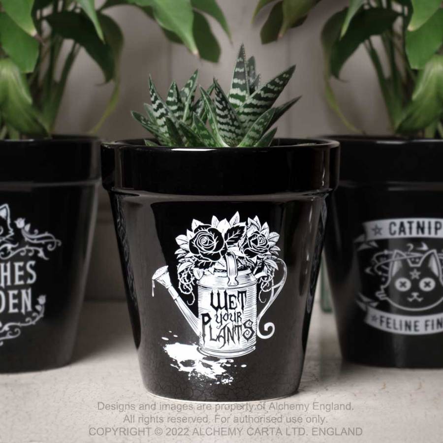 WET YOUR PLANTS PLANT POT (GPP5)