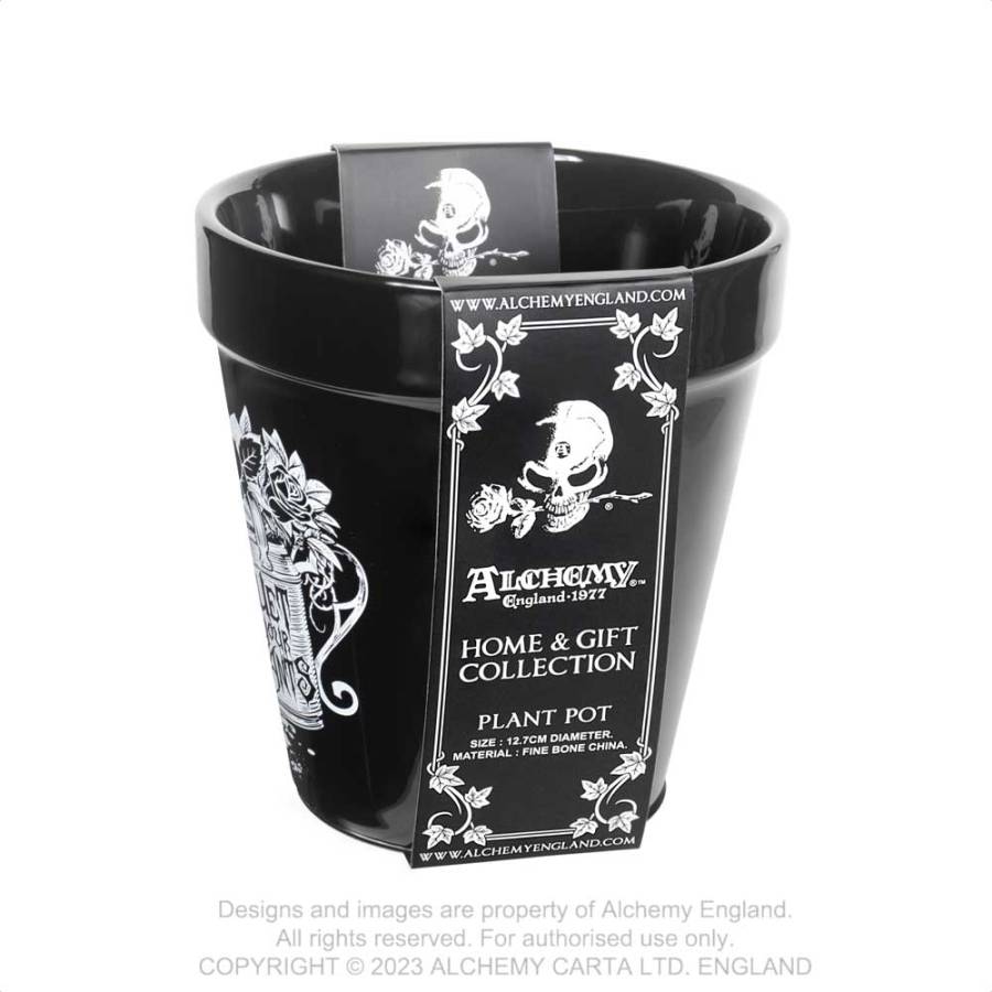 WET YOUR PLANTS PLANT POT (GPP5)