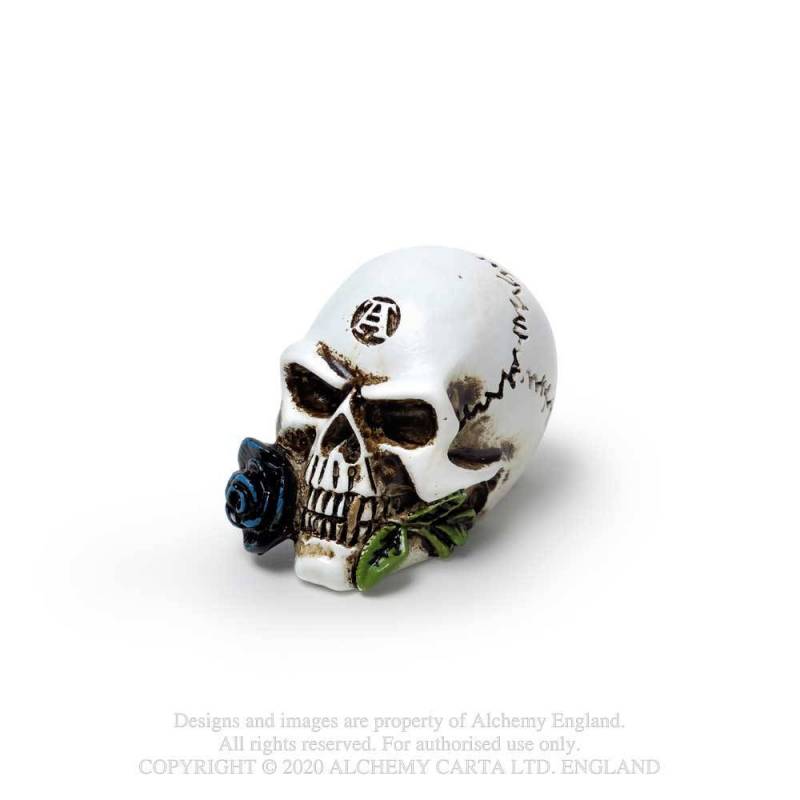 ALCHEMIST SKULL: MINIATURE (VM6)