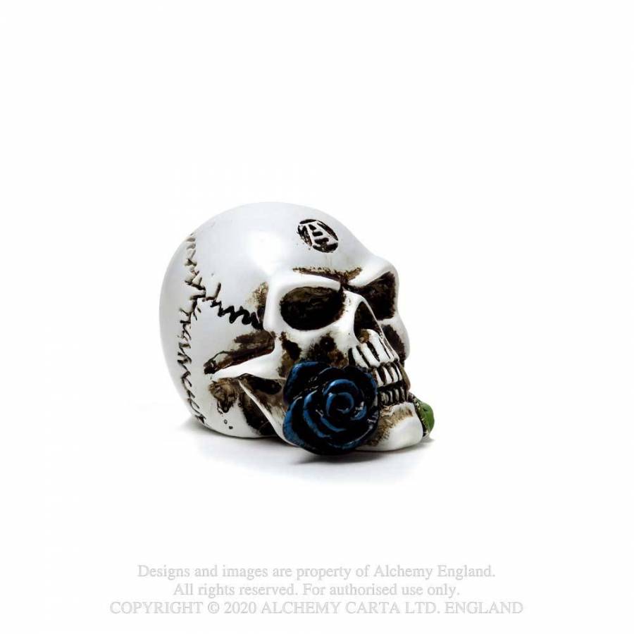 ALCHEMIST SKULL: MINIATURE (VM6)