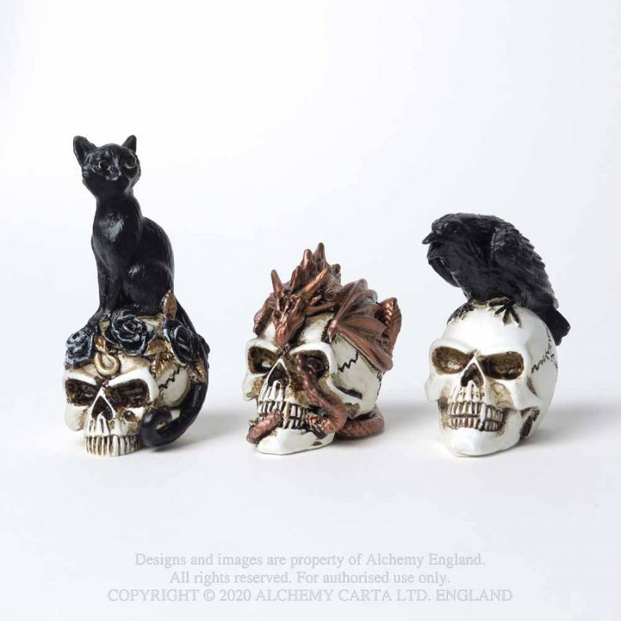 RAVEN SKULL: MINIATURE (VM7)