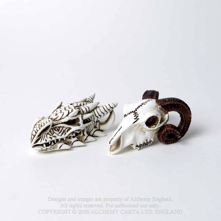 DRAGON SKULL: MINIATURE (VM9)
