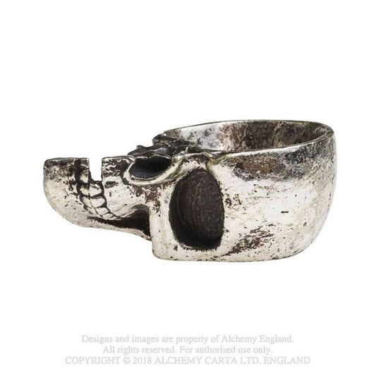 HALF SKULL TRINKET DISH (V60)