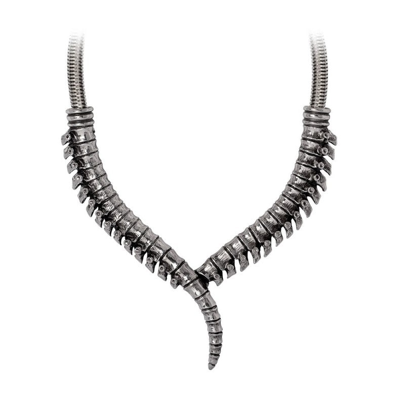 Thoracic Collar (P1007) Necklace from Alchemy