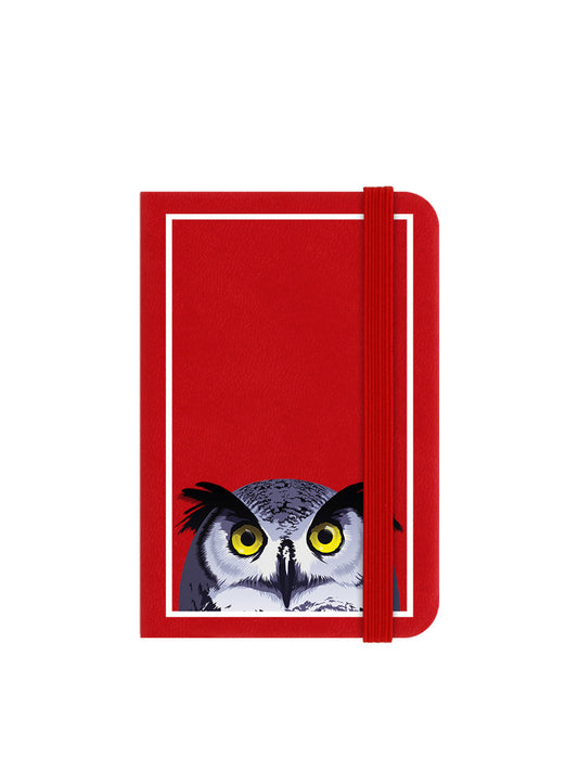 Inquisitive Creatures Owl Mini Red Notebook (A7B039)