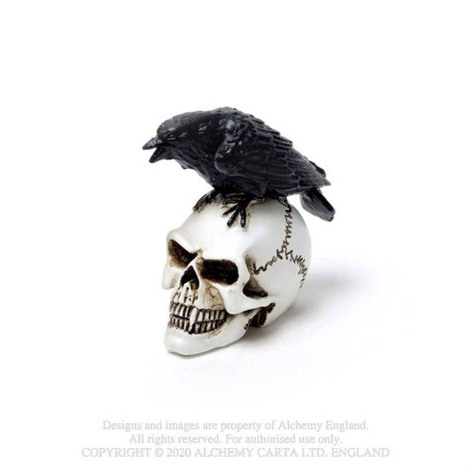 RAVEN SKULL: MINIATURE (VM7)